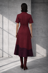 Mizu Maroon Dress